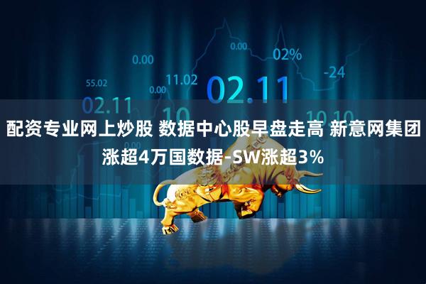 配资专业网上炒股 数据中心股早盘走高 新意网集团涨超4万国数据-SW涨超3%