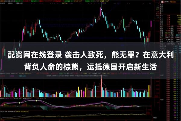 配资网在线登录 袭击人致死，熊无罪？在意大利背负人命的棕熊，运抵德国开启新生活
