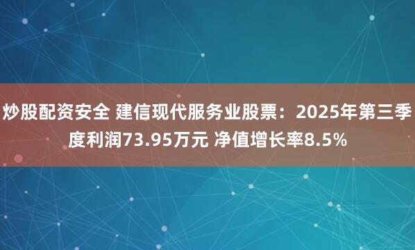 炒股配资安全 建信现代服务业股票：2025年第三季度利润73.95万元 净值增长率8.5%