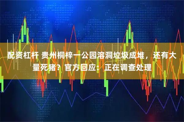 配资杠杆 贵州桐梓一公园溶洞垃圾成堆，还有大量死猪？官方回应：正在调查处理