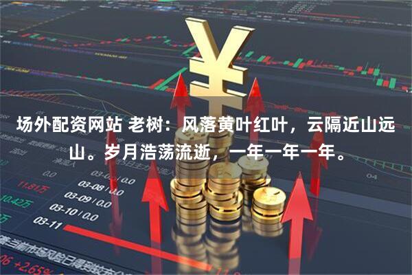 场外配资网站 老树：风落黄叶红叶，云隔近山远山。岁月浩荡流逝，一年一年一年。