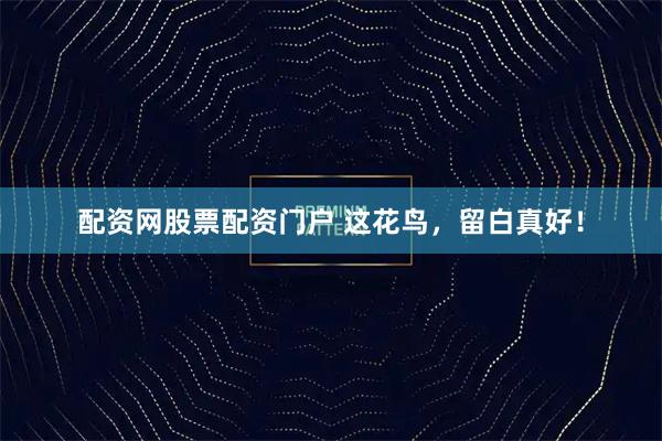 配资网股票配资门户 这花鸟，留白真好！