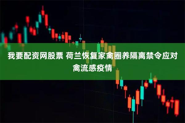 我要配资网股票 荷兰恢复家禽圈养隔离禁令应对禽流感疫情